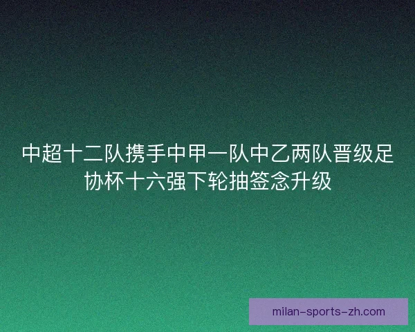 中超十二队携手中甲一队中乙两队晋级足协杯十六强下轮抽签念升级